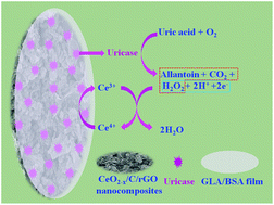 Graphical abstract: CeO2−x/C/rGO nanocomposites derived from Ce-MOF and graphene oxide as a robust platform for highly sensitive uric acid detection