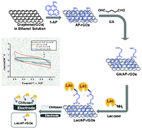 Graphical abstract: Direct electron transfer reaction of laccase on a glassy carbon electrode modified with 1-aminopyrene functionalized reduced graphene oxide
