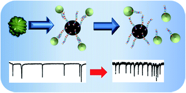 Graphical abstract: Aptamer based dispersion assay using tunable resistive pulse sensing (TRPS)