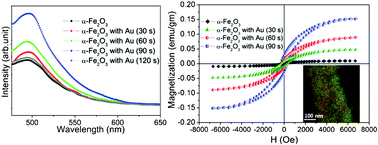Graphical abstract: Enhanced band gap emission and ferromagnetism of Au nanoparticle decorated α-Fe2O3 nanowires due to surface plasmon and interfacial effects