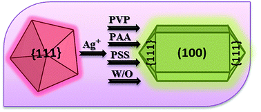 Graphical abstract: Role of poly(vinylpyrrolidone) (PVP) and other sterically protecting polymers in selective stabilization of {111} and {100} facets in pentagonally twinned silver nanoparticles