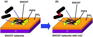 Graphical abstract: Electrical conductivity enhancement of metallic single-walled carbon nanotube networks by CoO decoration