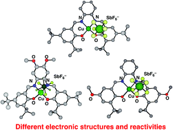 Graphical abstract: Characterization of one-electron oxidized copper(ii)-salophen-type complexes; effects of electronic and geometrical structures on reactivities