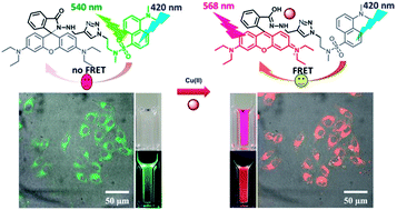 Graphical abstract: A facile “click” reaction to fabricate a FRET-based ratiometric fluorescent Cu2+ probe