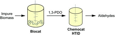 Graphical abstract: Combining bio- and chemo-catalysis for the conversion of bio-renewable alcohols: homogeneous iridium catalysed hydrogen transfer initiated dehydration of 1,3-propanediol to aldehydes