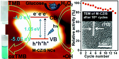 Graphical abstract: Insight into the mechanism revealing the peroxidase mimetic catalytic activity of quaternary CuZnFeS nanocrystals: colorimetric biosensing of hydrogen peroxide and glucose