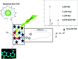 Graphical abstract: Synthesis and characterization of quantum dots for application in laser soft desorption/ionization mass spectrometry to detect labile metal–drug interactions and their antibacterial activity
