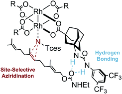 Graphical abstract: Site-selective nitrenoid insertions utilizing postfunctionalized bifunctional rhodium(ii) catalysts