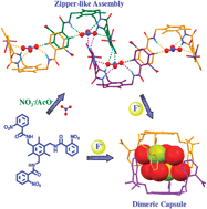 Graphical abstract: Recognition and complexation of hydrated fluoride anion: F2(H2O)62− templated formation of a dimeric capsule of a tripodal amide