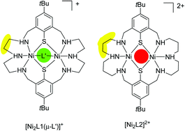 Graphical abstract: Binuclear nickel complexes with an edge sharing bis(square-pyramidal) N3Ni(μ-S2)NiN3 core: synthesis, characterization, crystal structure and magnetic properties