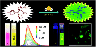 Graphical abstract: A colorimetric and fluorometric BODIPY probe for rapid, selective detection of H2S and its application in live cell imaging