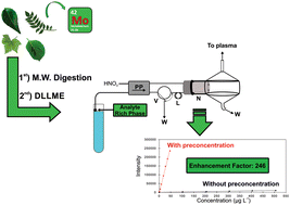 Graphical abstract: Vortex-assisted dispersive liquid–liquid microextraction for the determination of molybdenum in plants by inductively coupled plasma optical emission spectrometry