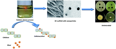 Graphical abstract: One-step synthesis of cellulose/silver nanobiocomposites using a solution plasma process and characterization of their broad spectrum antimicrobial efficacy