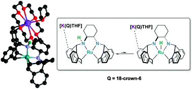 Graphical abstract: Insights into metal–ligand hydrogen transfer: a square-planar ruthenate complex supported by a tetradentate amino–amido-diolefin ligand
