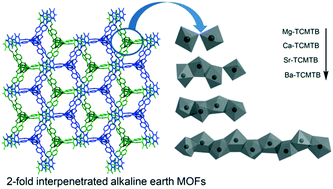 Graphical abstract: Dependence of the SBU length on the size of metal ions in alkaline earth MOFs derived from a flexible C3-symmetric tricarboxylic acid