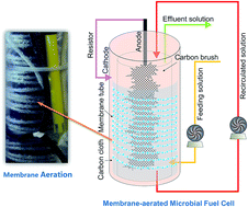 Graphical abstract: Membrane aeration as an energy-efficient method for supplying oxygen to microbial fuel cells