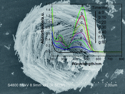 Self Assembly Fabrication Of 3D Porous Quasi Flower Like ZnO Nanostrip