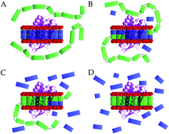 Self Assembling Peptides Form Nanodiscs That Stabilize Membrane