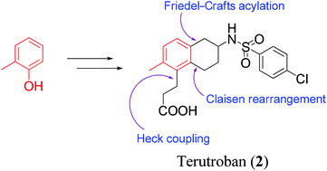 Total Synthesis Of A Thromboxane Receptor Antagonist Terutroban