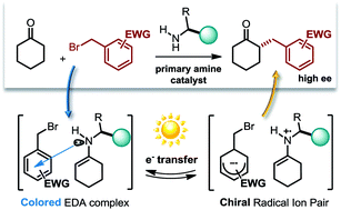 Enantioselective Direct Alkylation Of Cyclic Ketones By Means Of