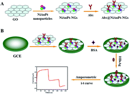 A Novel Label Free Electrochemical Immunosensor For The Detection Of