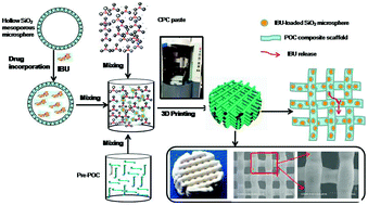 Hierarchically Macroporous Mesoporous Poc Composite Scaffolds With Ibu