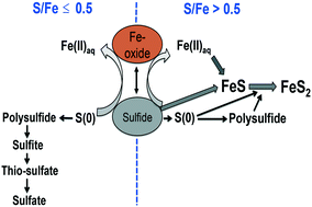 Sulfidation Mechanisms Of Fe Iii Oxyhydr Oxide Nanoparticles A