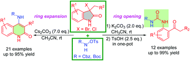 Ring Expansion And Ring Opening Of 3 Halooxindoles With N