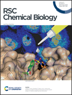 Front Cover RSC Chemical Biology RSC Publishing