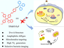 Mitochondria Targeting Nir Aiegens With Cationic Amphiphilic Character