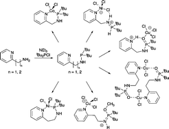 High Spin Tetrahedral Cobalt Ii And Nickel Ii Complexes Supported By