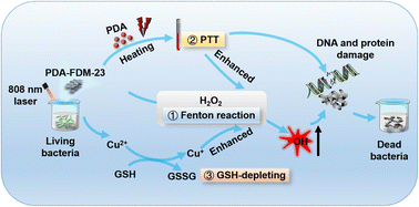 Photothermal Theranostics With Glutathione Depletion And Enhanced