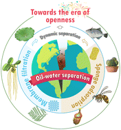 Bioinspired Superwetting Oilwater Separation Strategy Toward The Era