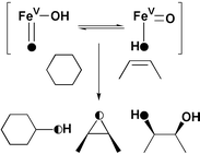 Graphical abstract: Spin state tuning of non-heme iron-catalyzed hydrocarbon oxidations: participation of FeIII–OOH and FeV [[double bond, length as m-dash]] O intermediates