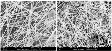 Graphical abstract: Synthesis and characterization of silicon carbide, silicon oxynitride and silicon nitride nanowires