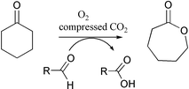 Graphical abstract: Baeyer–Villiger oxidation in compressed CO2