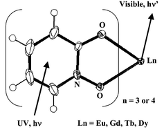 Graphical abstract: A solid-state study of eight-coordinate lanthanide(iii) complexes (Ln = Eu, Gd, Tb, Dy) with 1-hydroxy-2-pyridinone