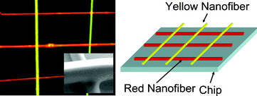Graphical abstract: Polymeric nanowire architecture