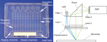 Graphical abstract: Parallel nanoliter detection of cancer markers using polymer microchips