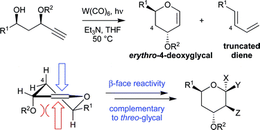 Graphical abstract: Enantioselective synthesis of erythro-4-deoxyglycals as scaffolds for target- and diversity-oriented synthesis: new insights into glycal reactivity