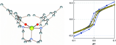Graphical abstract: Magnetic ordering in a mononuclear cobalt(ii) complex containing a Schiff-base pentadentate ligand