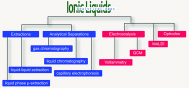 Graphical abstract: An analytical view of ionic liquids