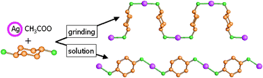 Graphical abstract: Mechanochemical and solution reactions between AgCH3COO and [H2NC6H10NH2] yield three isomers of the coordination network {Ag[H2NC6H10NH2]+}∞