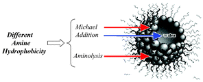 Graphical abstract: Michael addition and ester aminolysis in w/o AOT-based microemulsions