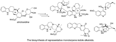 Graphical abstract: Chemistry and biology of monoterpene indole alkaloid biosynthesis