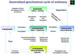 Graphical abstract: Antimony: global environmental contaminant