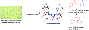 Graphical abstract: Artificial aldolases from peptide dendrimer combinatorial libraries