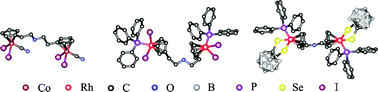 Graphical abstract: Binuclear half-sandwich cobalt(iii) and rhodium(iii) ortho-carboranedichalocogenolato complexes with ether chain-bridged bis(cyclopentadienyl) ligand