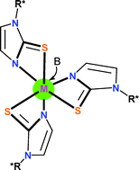 Graphical abstract: Tripodal borate ligands from tris(dimethylamino)borane: the first synthesis of a chiral tris(methimazolyl)borate ligand, and the crystal structure of a single diastereomer pseudo-C3-symmetric Ru(ii) complex