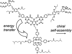 Graphical abstract: Energy transfer in chiral co-assemblies of triple hydrogen-bonded oligo(p-phenylene vinylene)s and porphyrin